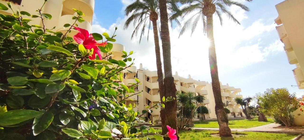 Apartamento La Felicidad II By Denia Costa エクステリア 写真